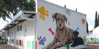 CDMX inaugura Xólotl: centro de bienestar animal recibe inversión de 112 millones Xólotl