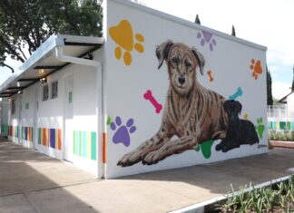 CDMX inaugura Xólotl: centro de bienestar animal recibe inversión de 112 millones Xólotl