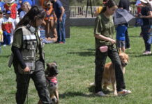 Amazon Pet Fest México llegará a CDMX con un festival gratuito para mascotas Amazon Pet Fest México llegará a CDMX con un festival gratuito para mascotas