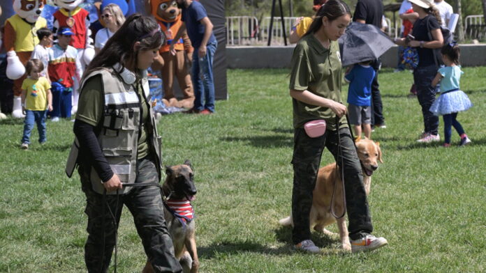 Amazon Pet Fest México llegará a CDMX con un festival gratuito para mascotas Amazon Pet Fest México llegará a CDMX con un festival gratuito para mascotas