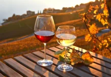 Guanajuato reunirá vinos de Europa, Asia y África en gala internacional el 29 y 30 de noviembre CMB Gala Internacional