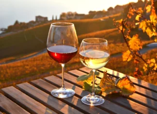Guanajuato reunirá vinos de Europa, Asia y África en gala internacional el 29 y 30 de noviembre CMB Gala Internacional