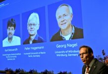 Nobel de Medicina 2026 premia una técnica que controla neuronas con luz