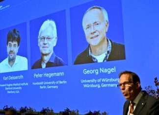 Nobel de Medicina 2026 premia una técnica que controla neuronas con luz