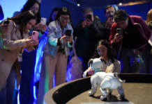Perros robots que pintan sorprenden en el Museo Franz Mayer con la exposición IA: Más que humano