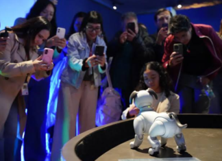 Perros robots que pintan sorprenden en el Museo Franz Mayer con la exposición IA: Más que humano