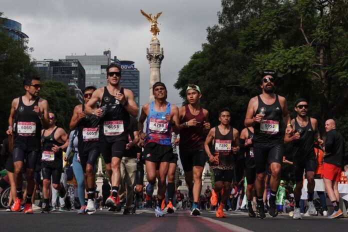 Corre por la conservación del jaguar WWF organiza una carrera en Chapultepec este noviembre Corre por la conservación del jaguar: WWF organiza una carrera en Chapultepec este noviembre