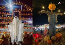 La Montaña Embrujada llega al Ajusco con zombies, fogatas y actividades de Halloween La Montaña Embrujada llega al Ajusco con zombies, fogatas y actividades de Halloween