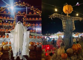 La Montaña Embrujada llega al Ajusco con zombies, fogatas y actividades de Halloween La Montaña Embrujada llega al Ajusco con zombies, fogatas y actividades de Halloween