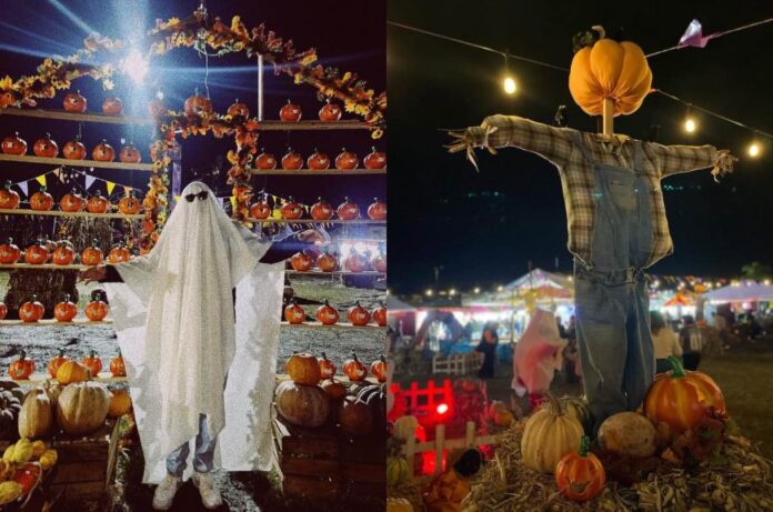La Montaña Embrujada llega al Ajusco con zombies, fogatas y actividades de Halloween La Montaña Embrujada llega al Ajusco con zombies, fogatas y actividades de Halloween