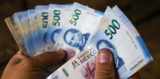 ¿Desaparecerá el dinero en efectivo en México? Senado aclara cómo funcionará la nueva Ley de Economía Digital Ley de Economía Digital