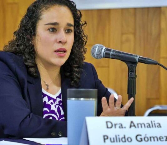 IEEM frena compra de material electoral para 2027 ante polémica por contratos del INE; Amalia Pulido niega presiones Amalia Pulido