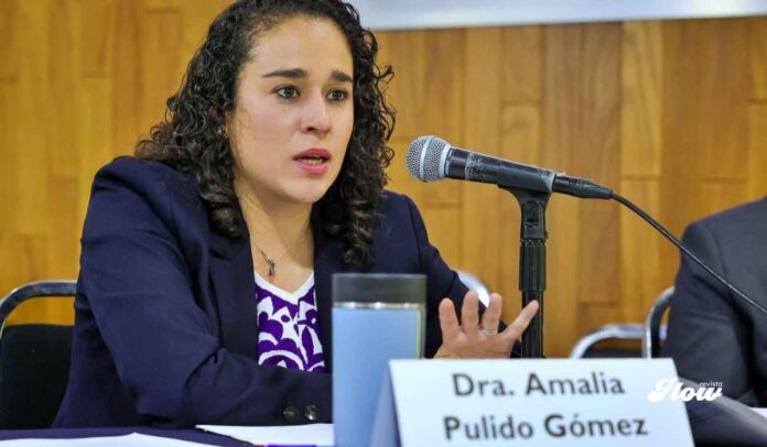 Amalia Pulido