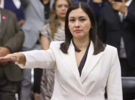 INE designa por unanimidad a Blanca Yassahara Cruz García como consejera presidenta provisional tras la renuncia de Guadalupe Taddei Blanca Cruz García