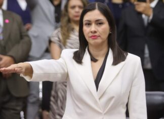 INE designa por unanimidad a Blanca Yassahara Cruz García como consejera presidenta provisional tras la renuncia de Guadalupe Taddei Blanca Cruz García