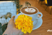 Halloween y Día de Muertos en CDMX: cafetería ofrece pan de muerto, café y snacks ilimitados por $95 la hora Chez Vous