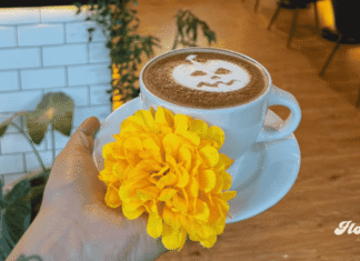 Halloween y Día de Muertos en CDMX: cafetería ofrece pan de muerto, café y snacks ilimitados por $95 la hora Chez Vous