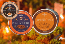 Día de Muertos 2026 inspira nueva colección de cremas veganas con aromas de cempasúchil y pan de muerto cremas veganas