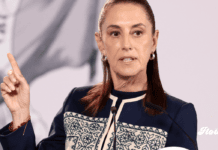 Sheinbaum respalda renuncia de Guadalupe Taddei al INE y exige investigar contratos y posibles conflictos de interés sheinbaum