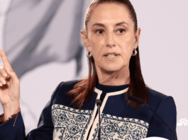 Sheinbaum niega que Morena haya impuesto a Guadalupe Taddei en el INE y pide investigar posibles irregularidades sheinbaum