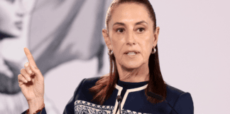 Sheinbaum respalda renuncia de Guadalupe Taddei al INE y exige investigar contratos y posibles conflictos de interés sheinbaum