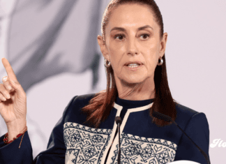Sheinbaum respalda renuncia de Guadalupe Taddei al INE y exige investigar contratos y posibles conflictos de interés sheinbaum