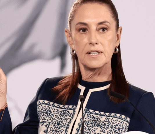 Sheinbaum respalda renuncia de Guadalupe Taddei al INE y exige investigar contratos y posibles conflictos de interés sheinbaum