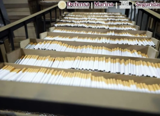 Aseguran 60 toneladas de cigarros falsificados en Huixquilucan; hay tres detenidos cigarros