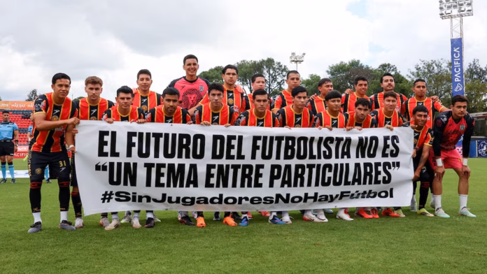 leones negros leones negros