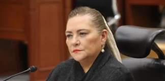 Guadalupe Taddei bajo investigación: contratos millonarios, proveedores y presuntos conflictos de interés sacuden al INE taddei