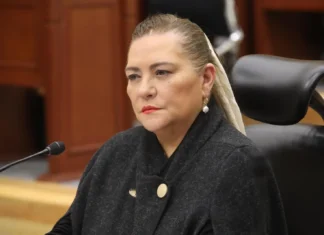 Guadalupe Taddei bajo investigación: contratos millonarios, proveedores y presuntos conflictos de interés sacuden al INE taddei
